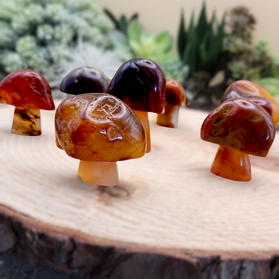 Red Agate Mushroom
