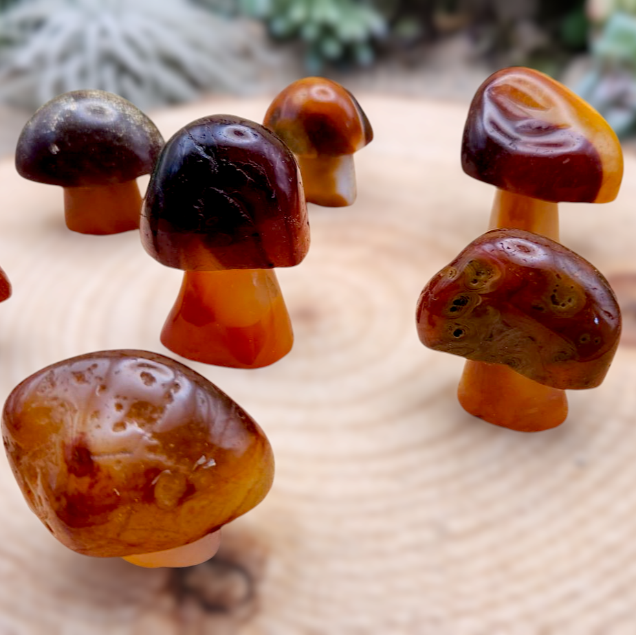 Red Agate Mushroom