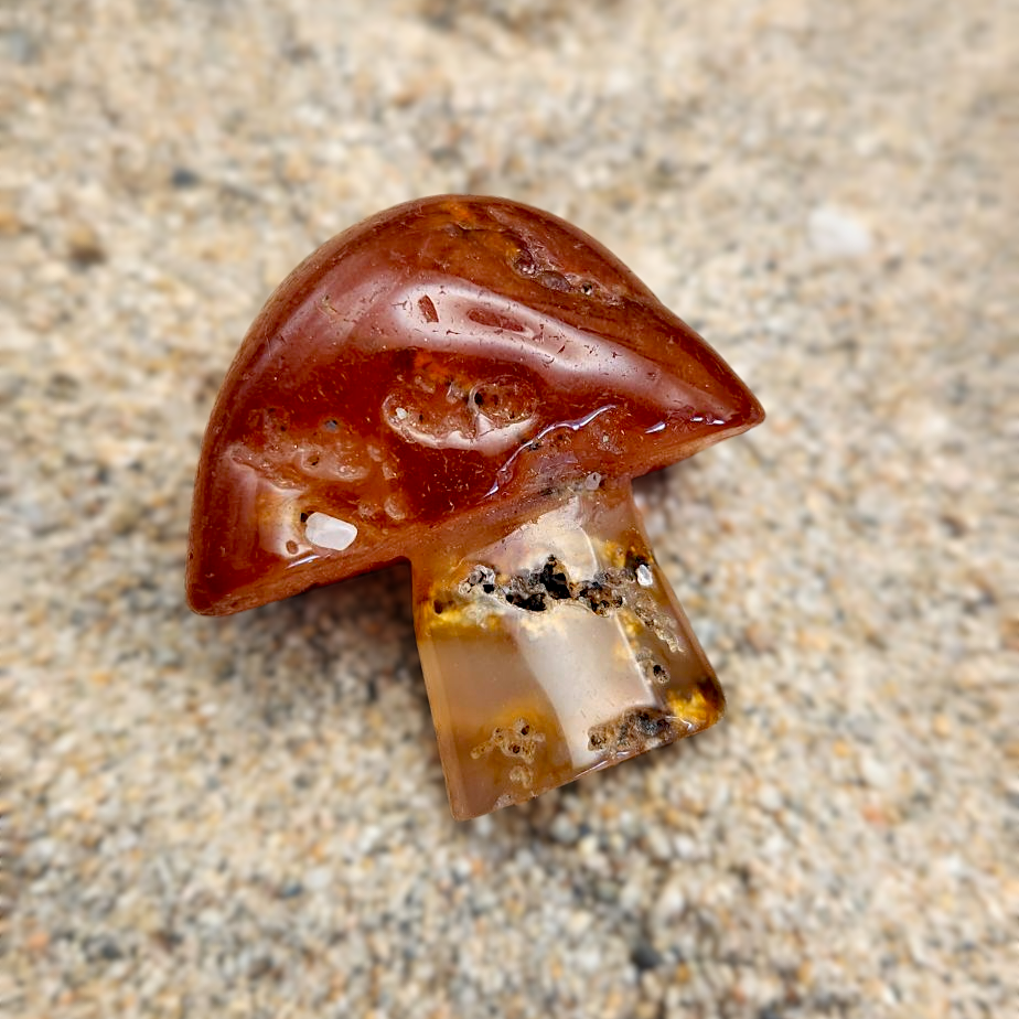 Red Agate Mushroom