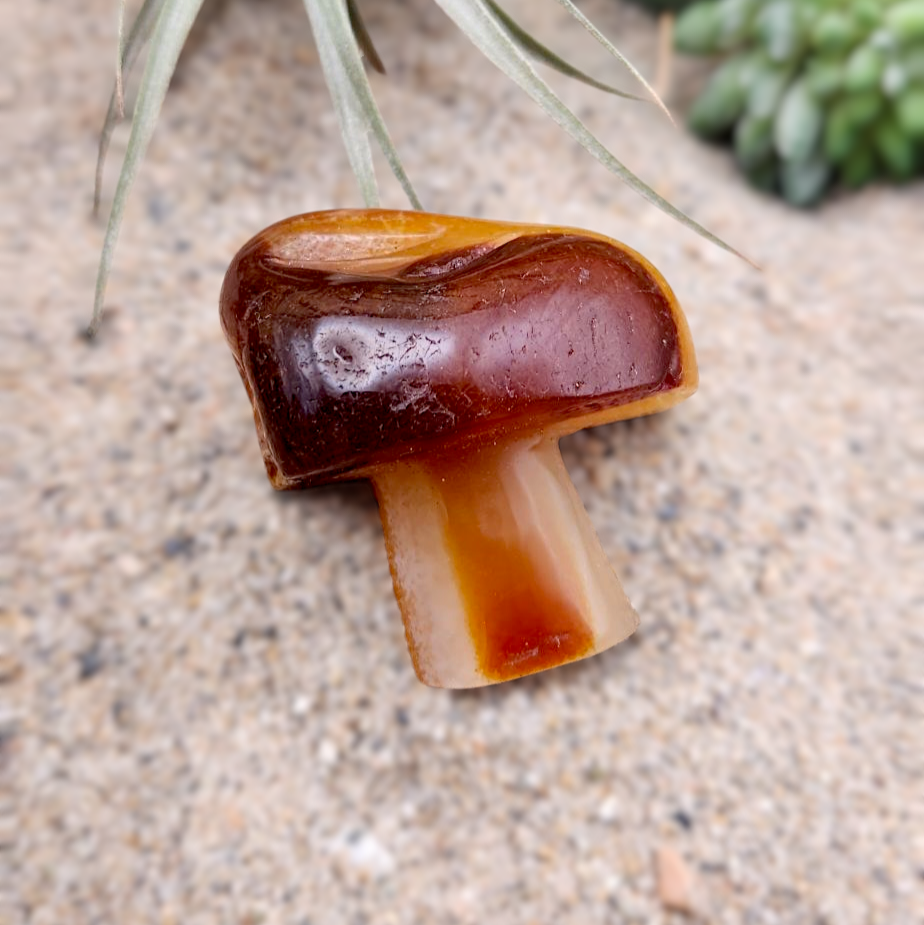 Red Agate Mushroom