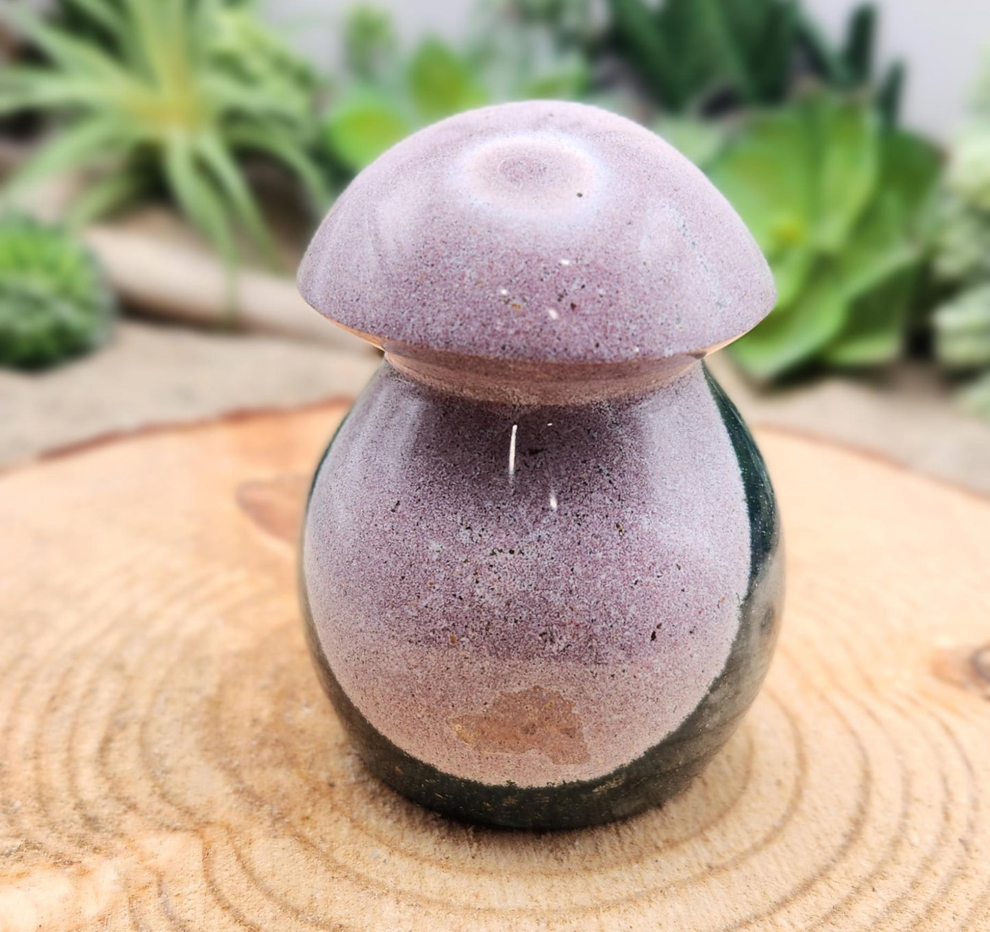 Ocean Jasper Mushroom
