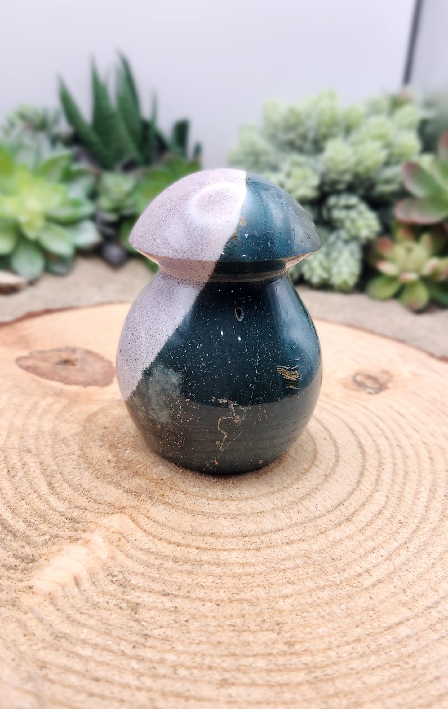 Ocean Jasper Mushroom
