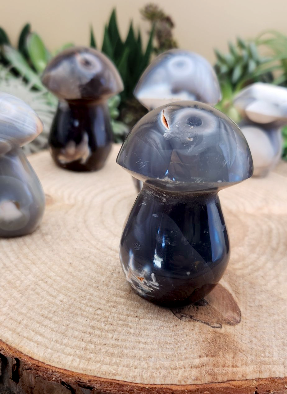 Orca Agate Mushroom