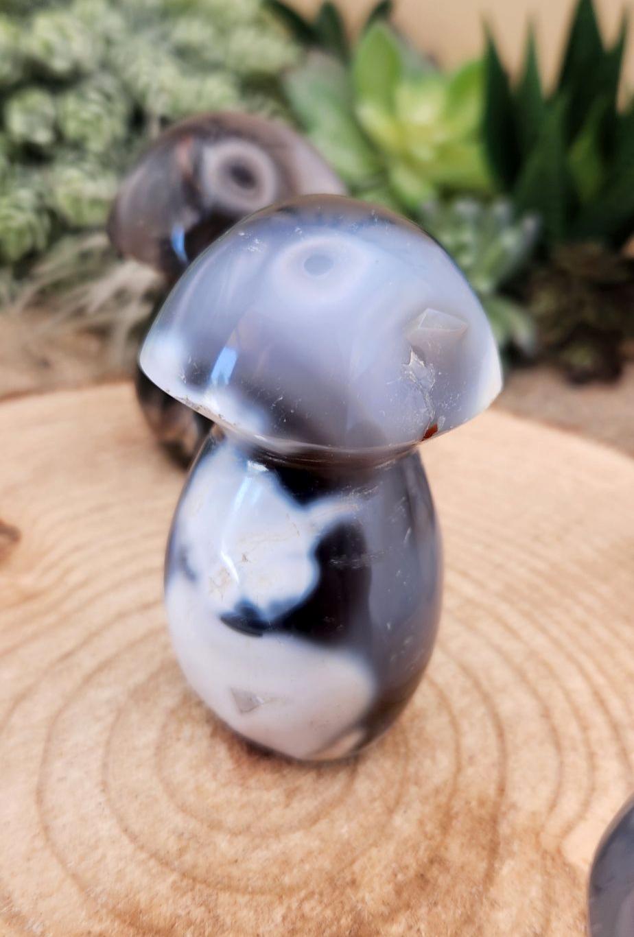 Orca Agate Mushroom