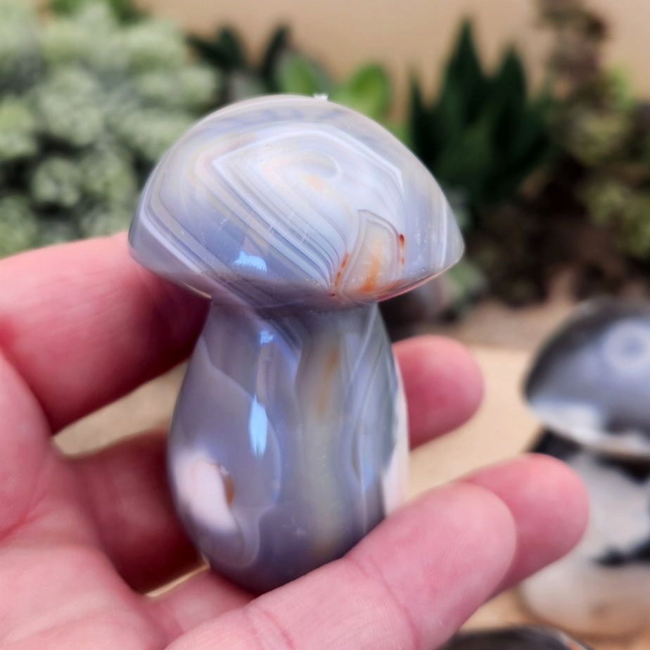 Orca Agate Mushroom