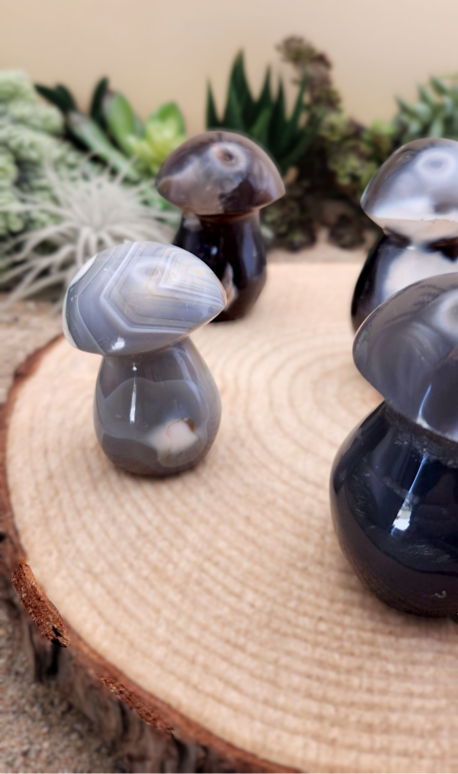 Orca Agate Mushroom