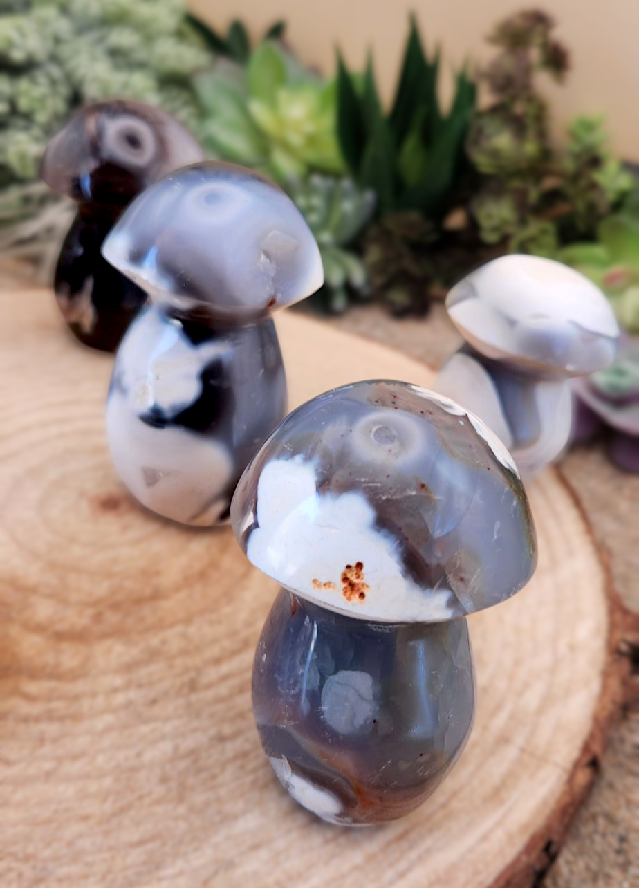 Orca Agate Mushroom