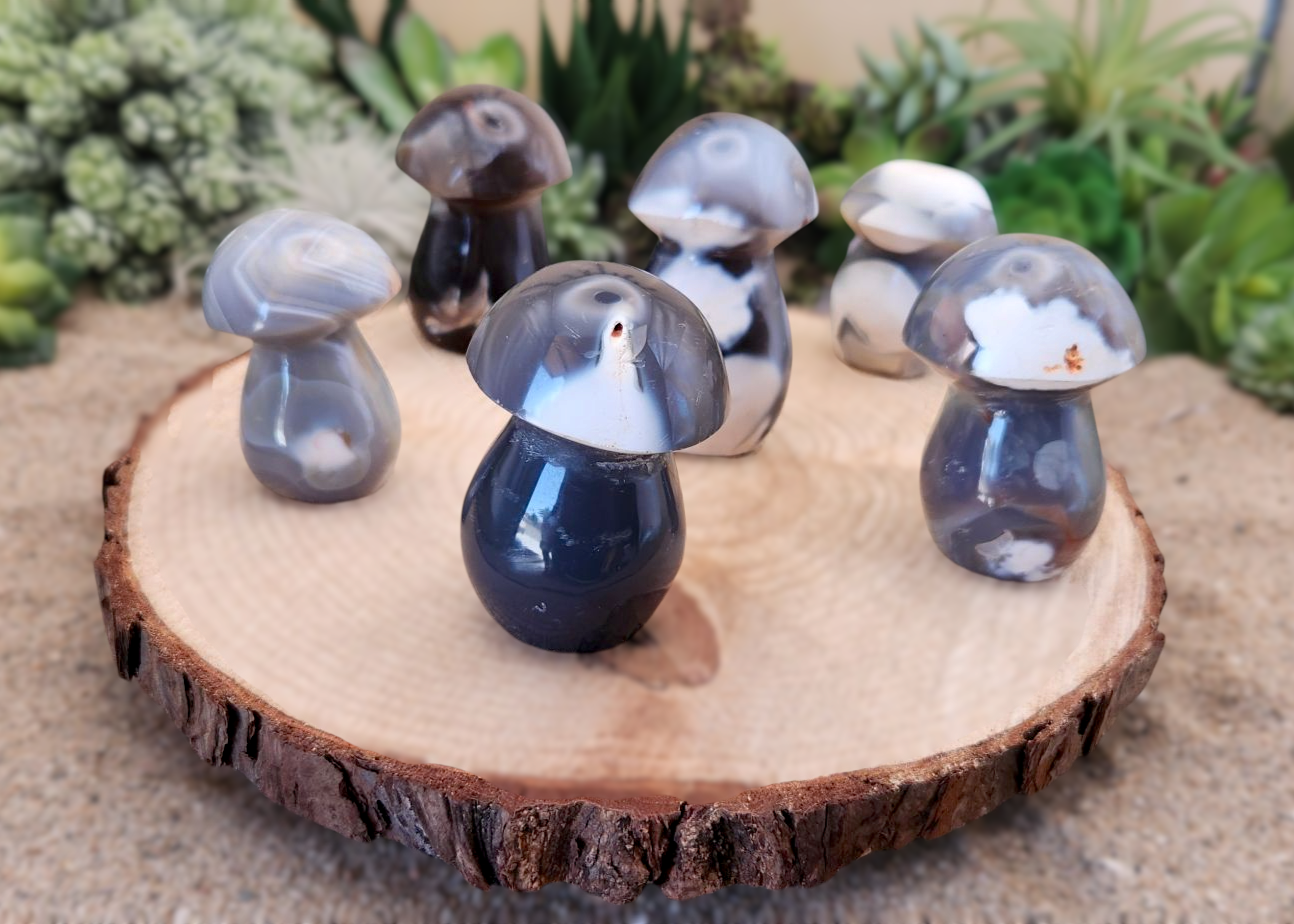 Orca Agate Mushroom
