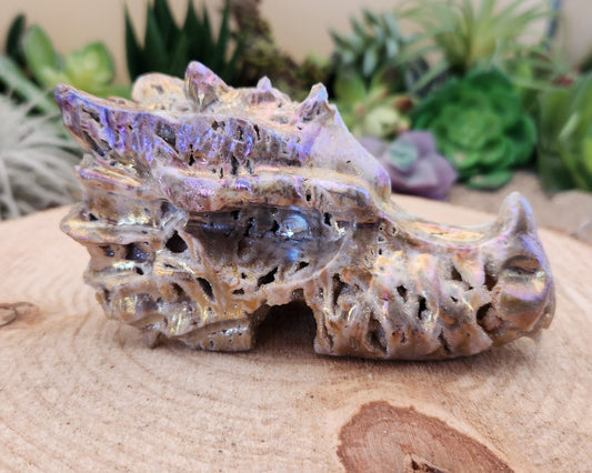 Angel Aura Sphalerite Dragon Skull