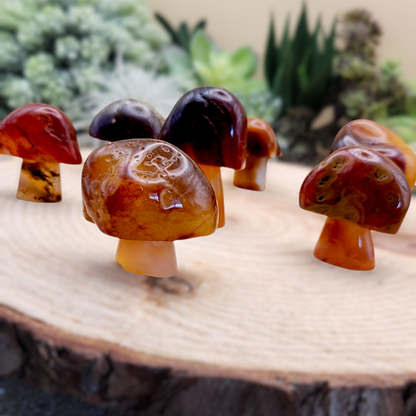 Red Agate Mushroom