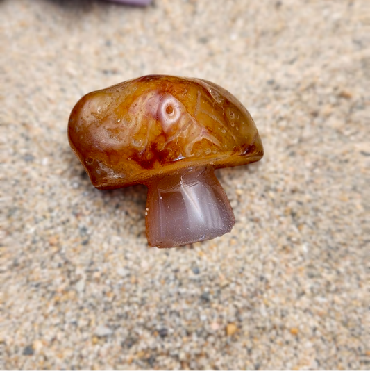 Red Agate Mushroom