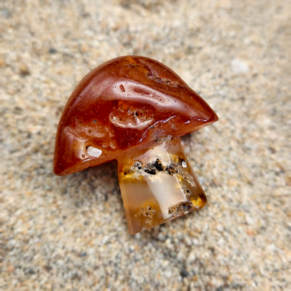 Red Agate Mushroom