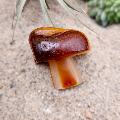 Red Agate Mushroom