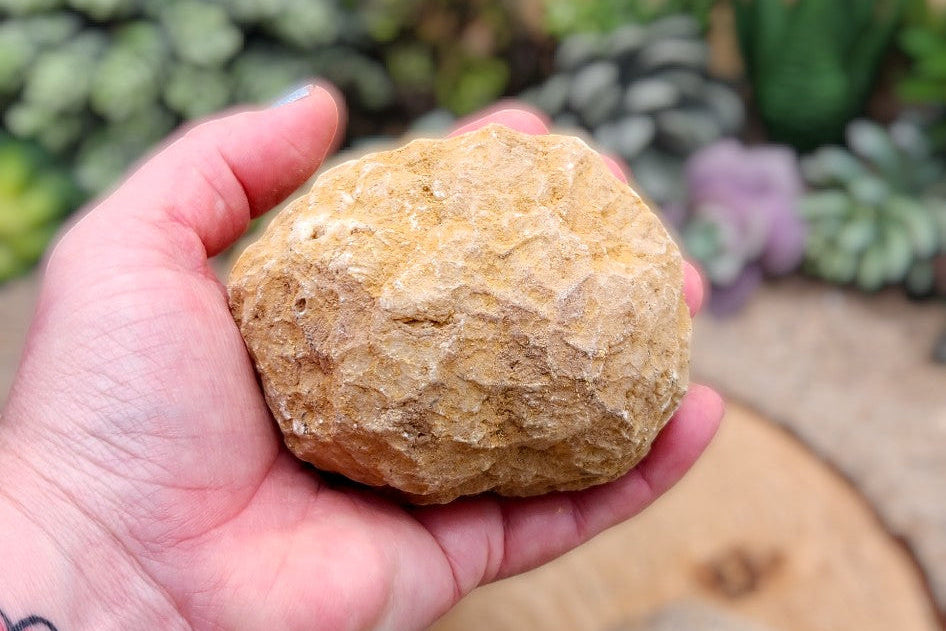 Crack Your Own Geodes - 3" Unopened Moroccan Crystal Quartz Geodes