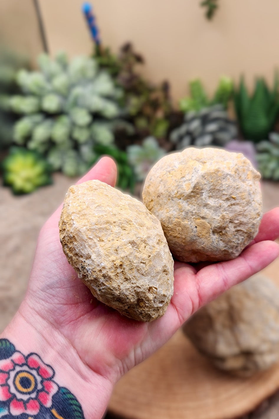 Crack Your Own Geodes - 3" Unopened Moroccan Crystal Quartz Geodes