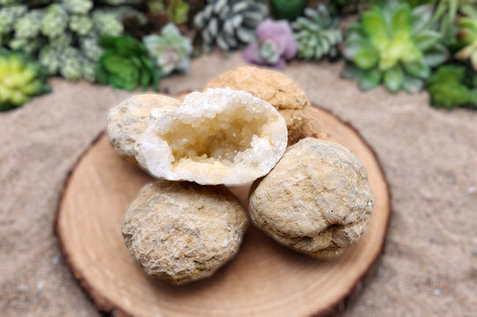 Crack Your Own Geodes - 3" Unopened Moroccan Crystal Quartz Geodes