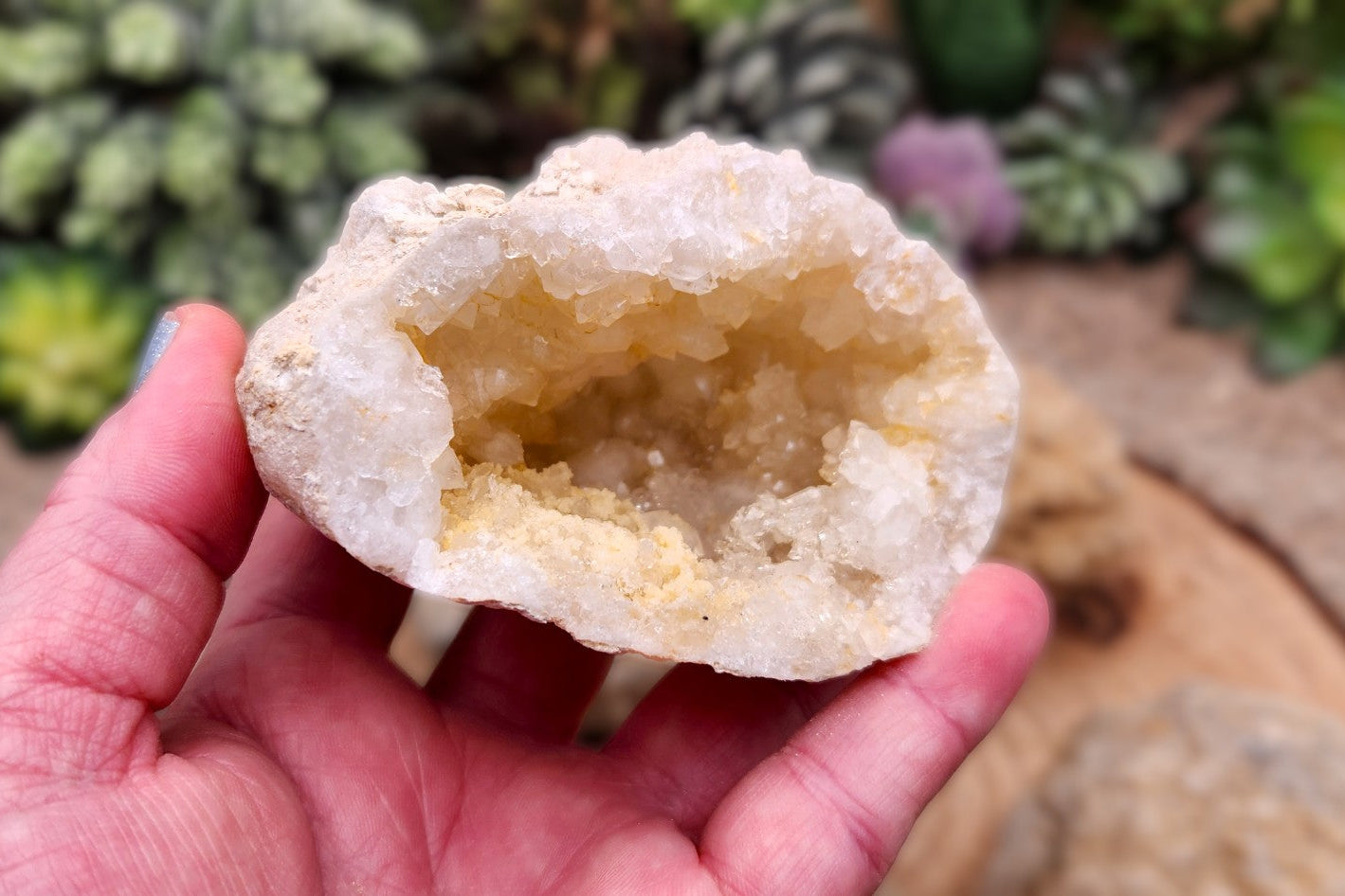 Crack Your Own Geodes - 3" Unopened Moroccan Crystal Quartz Geodes