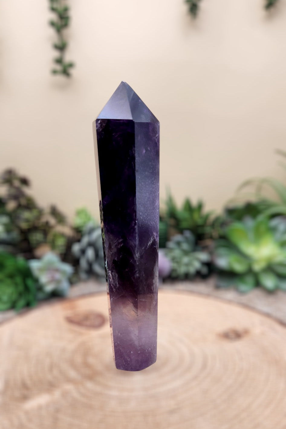 Large Dark Purple Amethyst Scepter