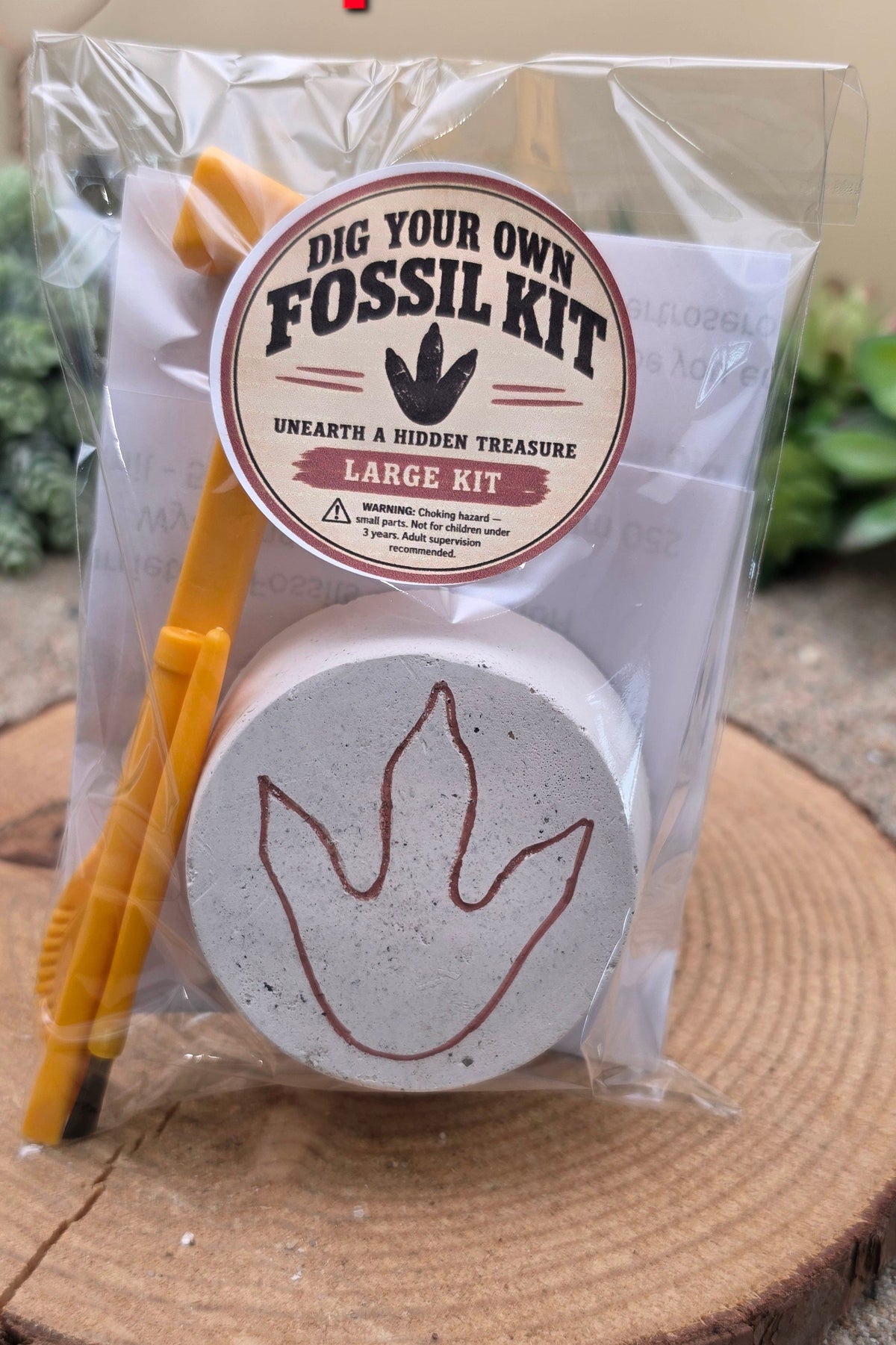 Dig Your Own Fossil Kits