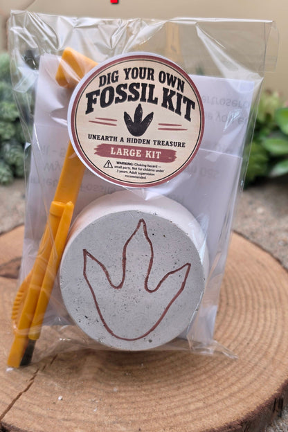 Dig Your Own Fossil Kits