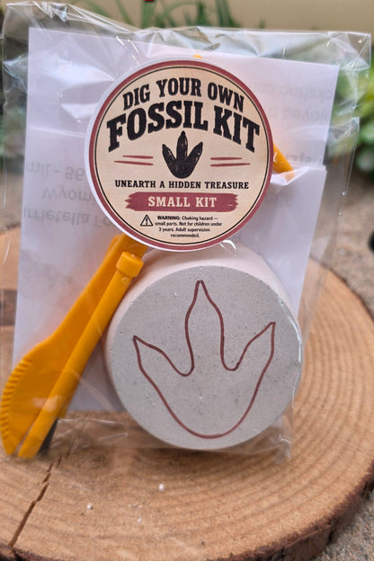Dig Your Own Fossil Kits