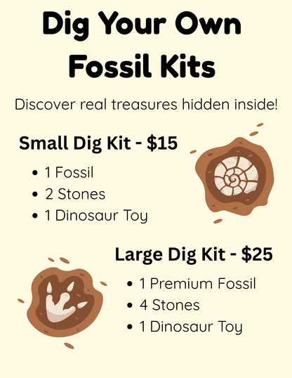 Dig Your Own Fossil Kits