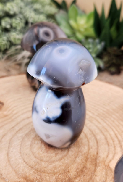 Orca Agate Mushroom