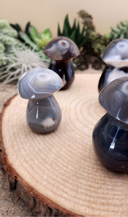 Orca Agate Mushroom