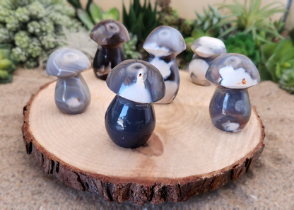 Orca Agate Mushroom