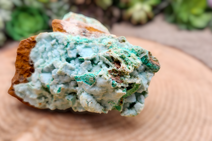 Large Raw Garnierite Stone: Green Moonstone Nickel Ore, 4"