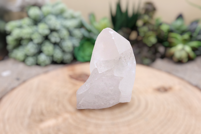 Arkansas Quartz Crystal Point: Etched Raw Clear Quartz 3.75"