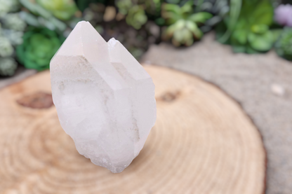 Arkansas Quartz Crystal Point: Etched Raw Clear Quartz 3.75"