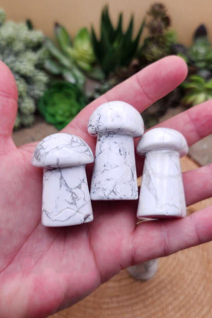 Howlite Mushroom Carving