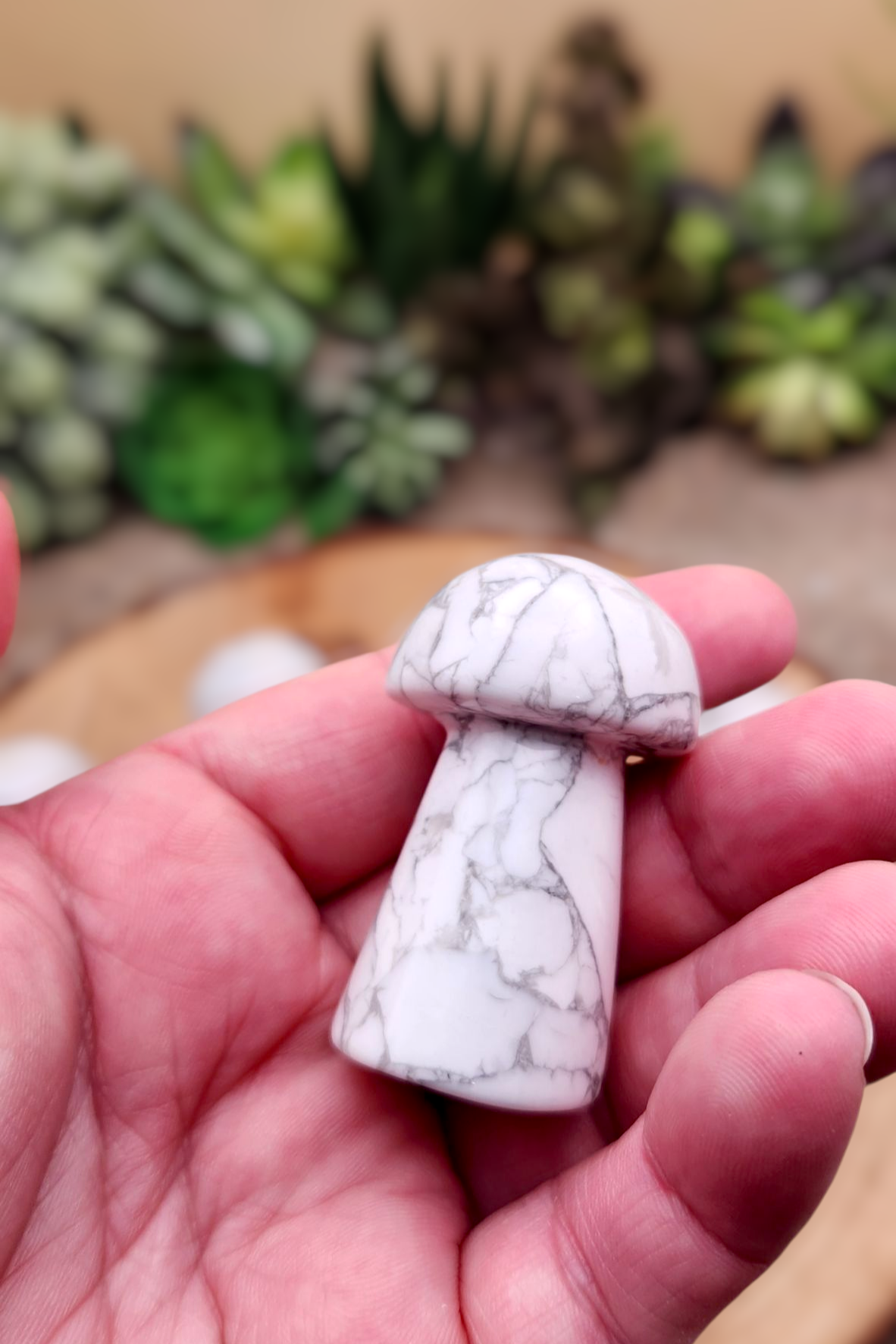 Howlite Mushroom Carving
