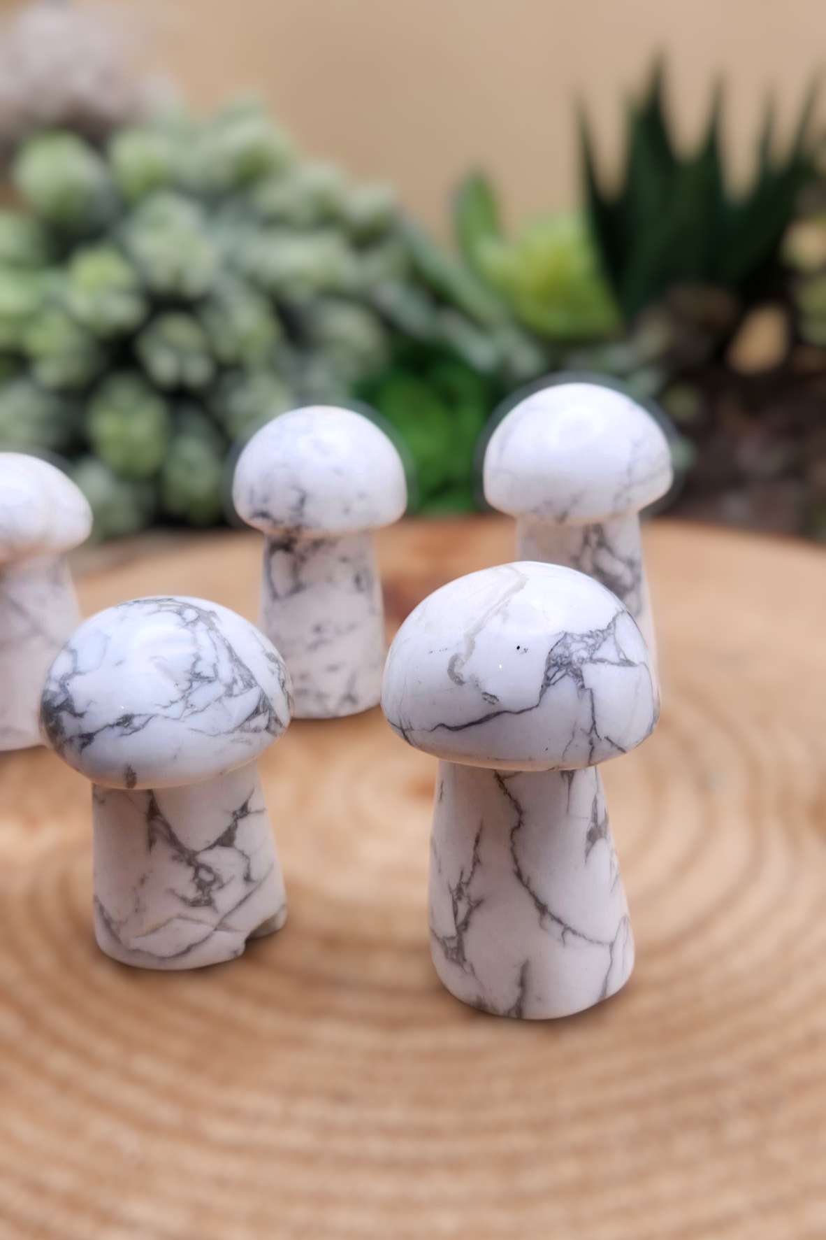 Howlite Mushroom Carving
