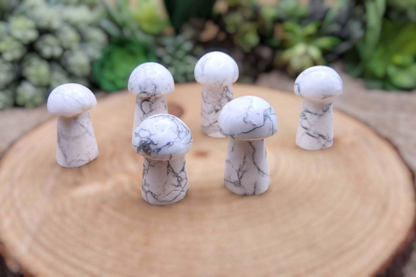 Howlite Mushroom Carving