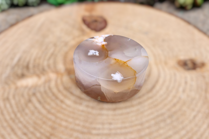 Blossom Agate Crystal Disc